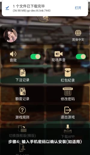安卓系统原生纯净版足球数据看板官方部署教程图解4